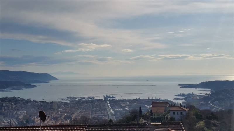 20150124_105037 (Copia).jpg