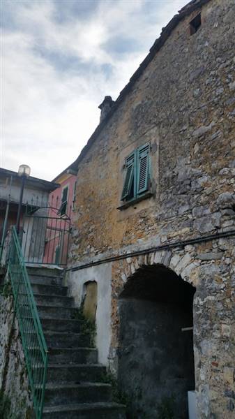 20150124_104305 (Copia).jpg