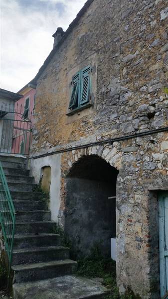 20150124_104306 (Copia).jpg