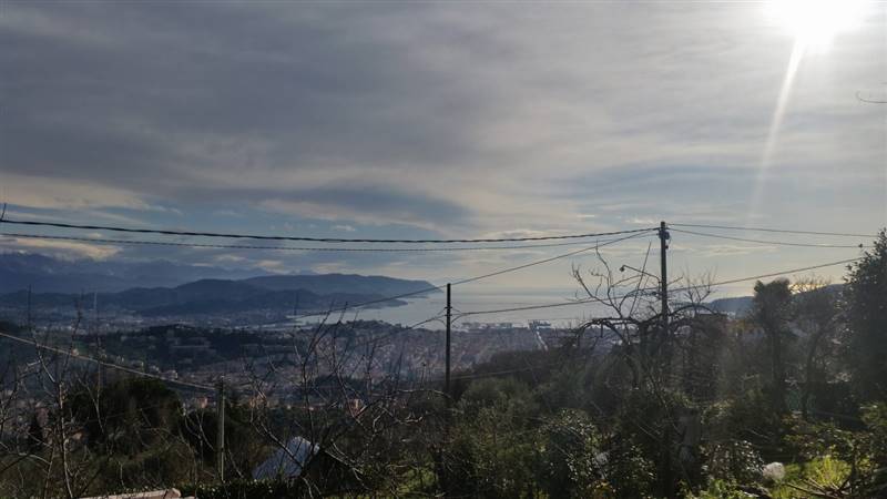 20150124_104500 (Copia).jpg
