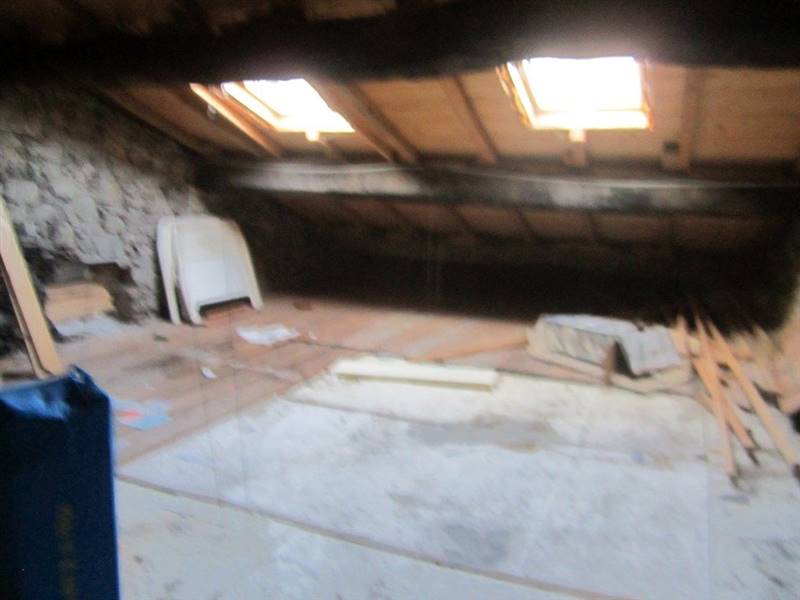 IMG_7709 (Copia).JPG