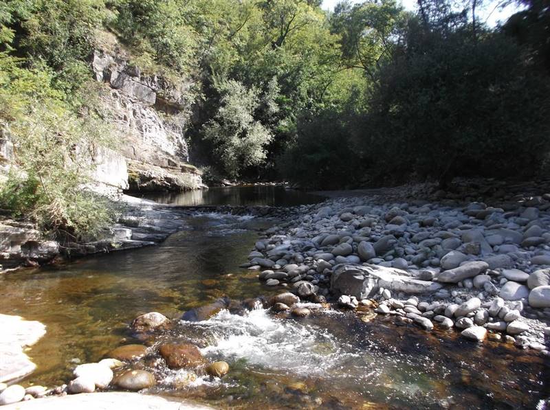 DSCF2439 (Copia).JPG