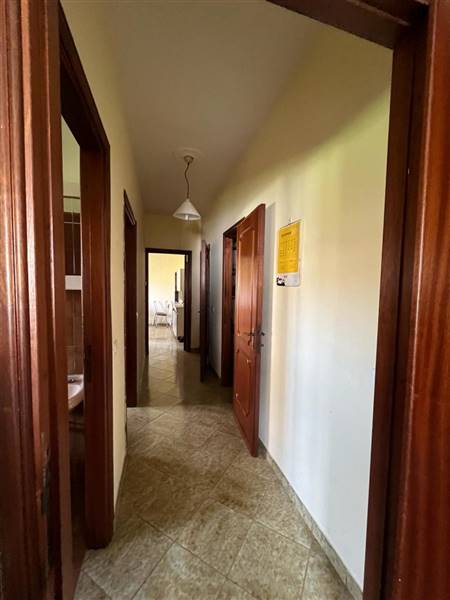 Immagine 7_4d5af72b.jpg