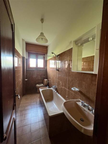 Immagine _2481345b.jpg