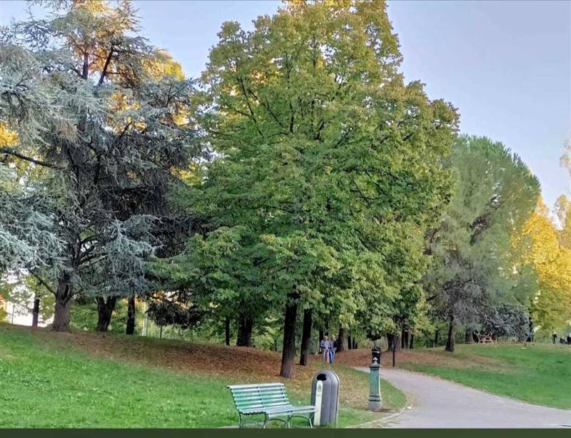 WhatsApp Image 2025-03-23 at 18.04.13.jpeg