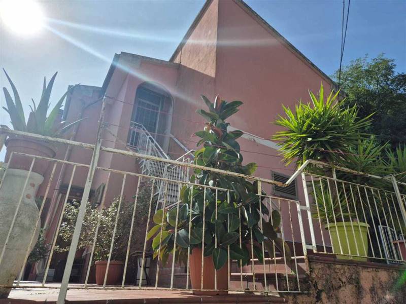 WhatsApp Image 2025-09-25 at 12.17.13.jpeg