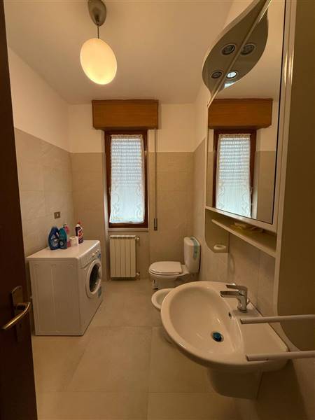 Immagine  14.55.34_941060a7.jpg