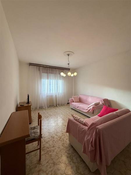 Immagine 0_3a1e7c1a.jpg