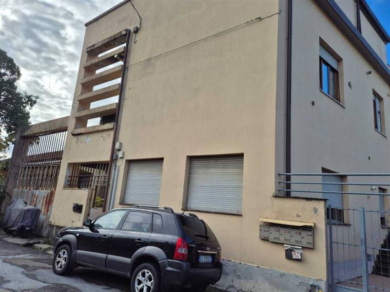 WhatsApp Image 2026-01-13 at 12.11.19.jpeg