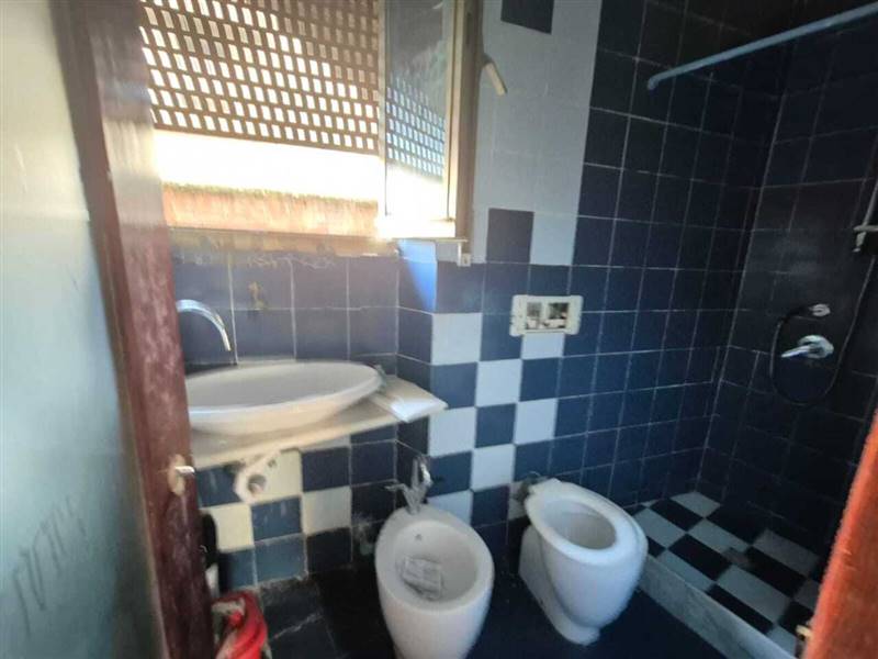 WhatsApp Image 2026-01-13 at 12.10.04.jpeg