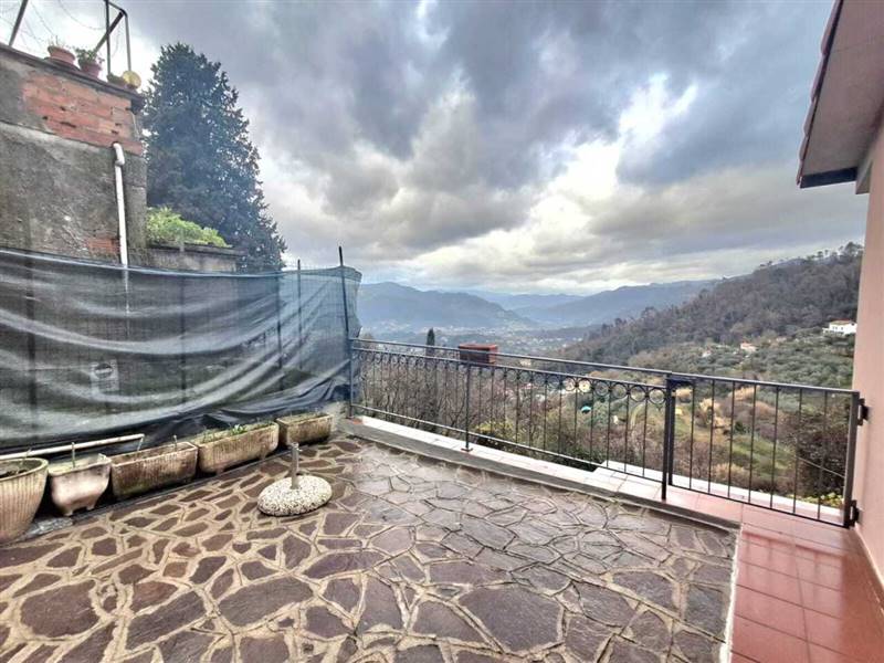 WhatsApp Image 2026-01-14 at 12.49.48.jpeg