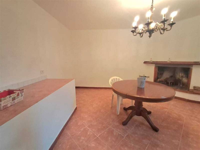 WhatsApp Image 2026-01-14 at 12.49.31.jpeg