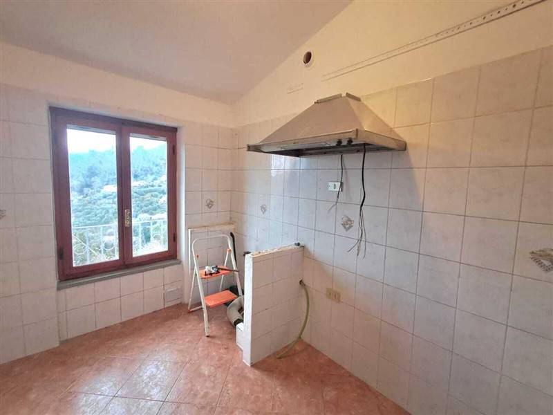 WhatsApp Image 2026-01-14 at 12.49.45.jpeg