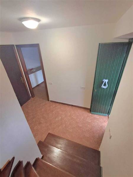 WhatsApp Image 2026-01-14 at 12.49.30.jpeg