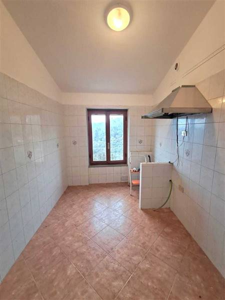 WhatsApp Image 2026-01-14 at 12.49.47.jpeg