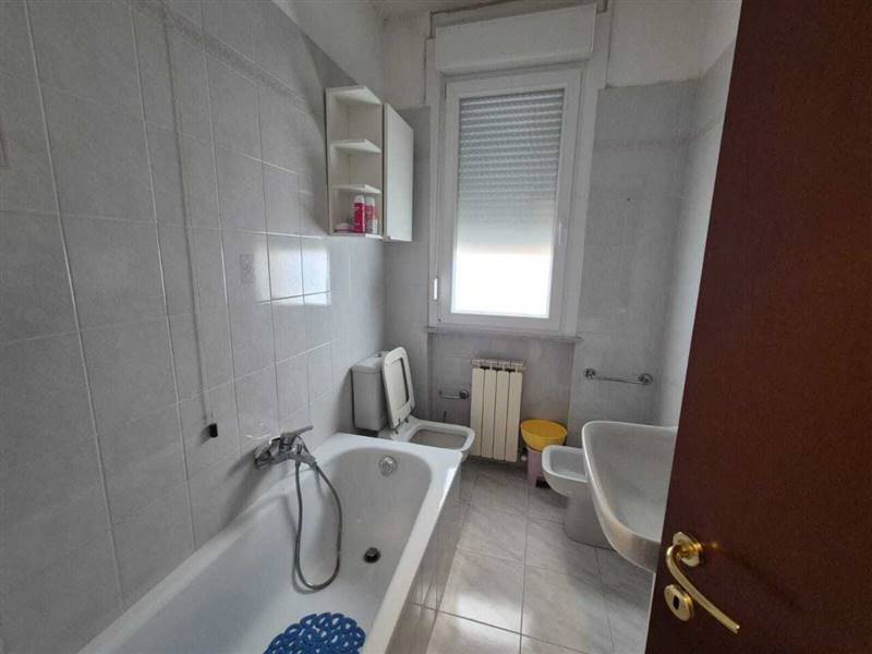 WhatsApp Image 2026-01-15 at 18.36.13.jpeg