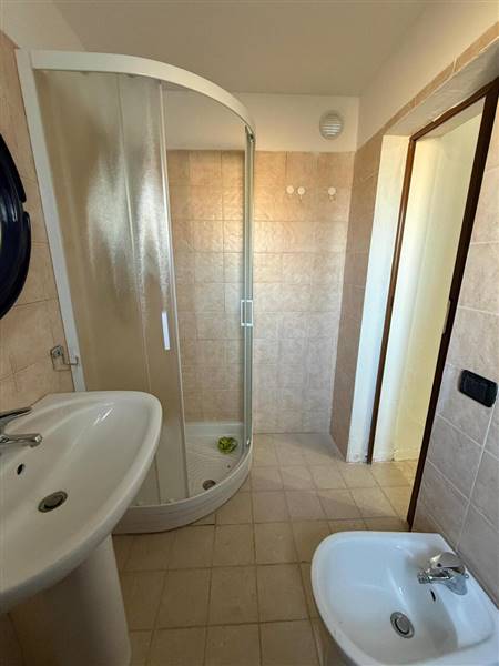 WhatsApp Image 2026-01-21 at 12.19.14.jpeg