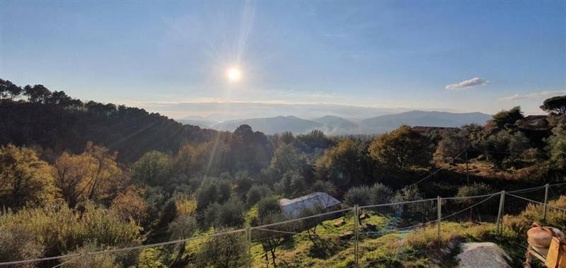 20201130_152418 (Copia).jpg