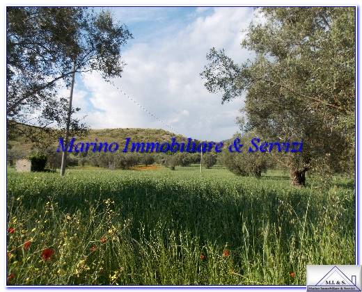 terreno agricolo in vendita a Pignataro Maggiore