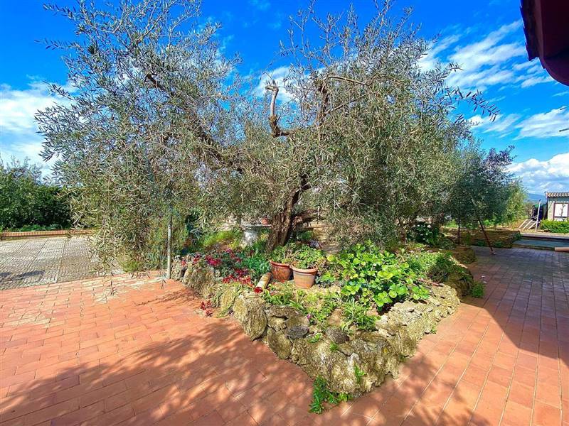 photo_2023-04-11_21-11-56 (2).jpg