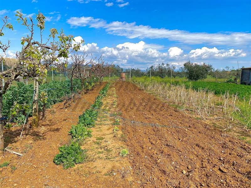 photo_2023-04-11_21-11-59 (2).jpg