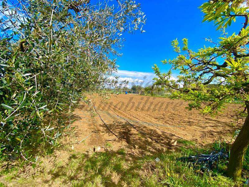 photo_2023-04-11_21-12-00 (2).jpg