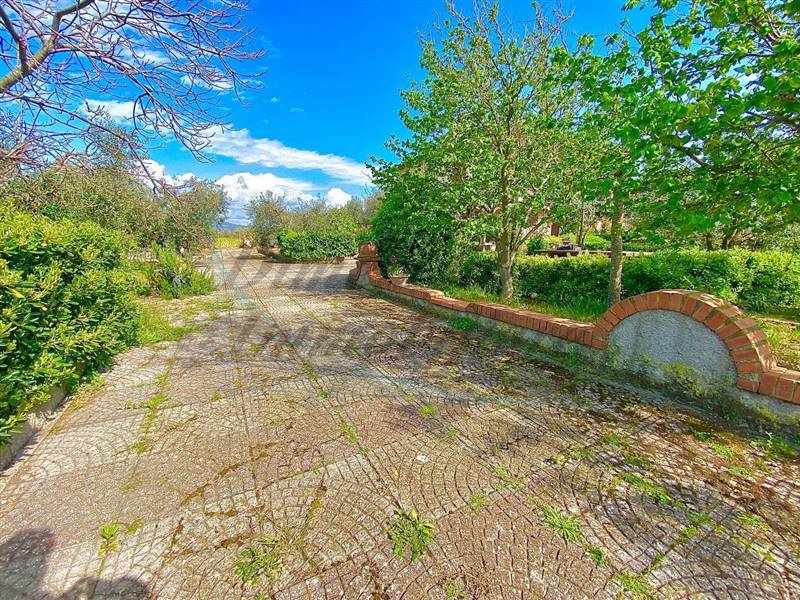 photo_2023-04-11_21-11-58 (2).jpg