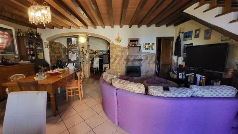 20230721_182611 (FILEminimizer).jpg