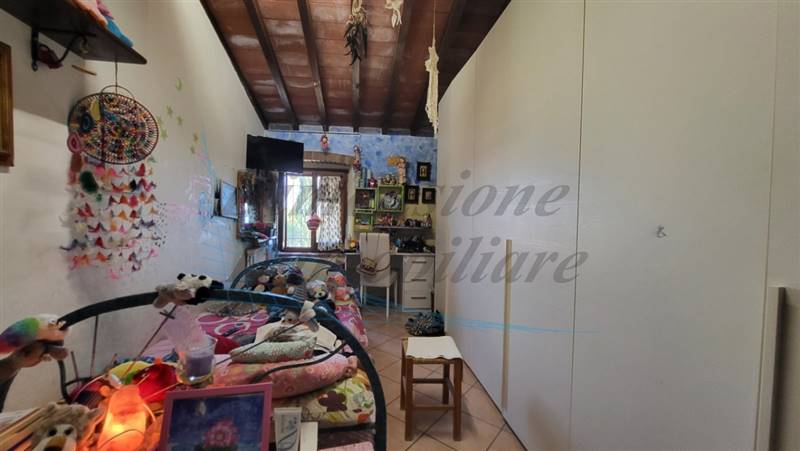 20230721_181630 (FILEminimizer).jpg