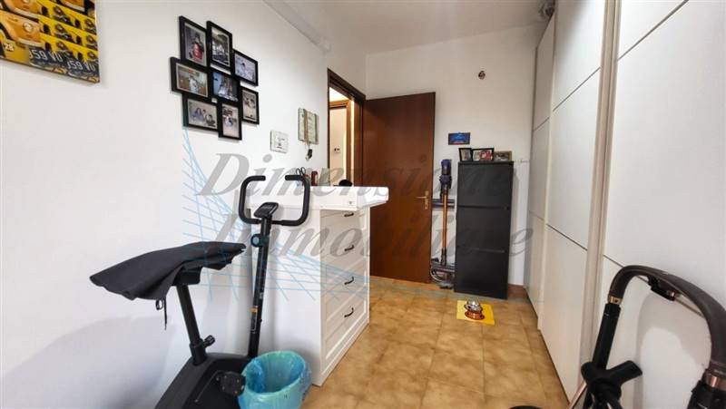 20230828_171141 (FILEminimizer).jpg