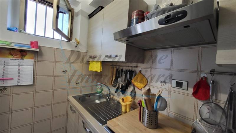 20230828_171850 (FILEminimizer).jpg