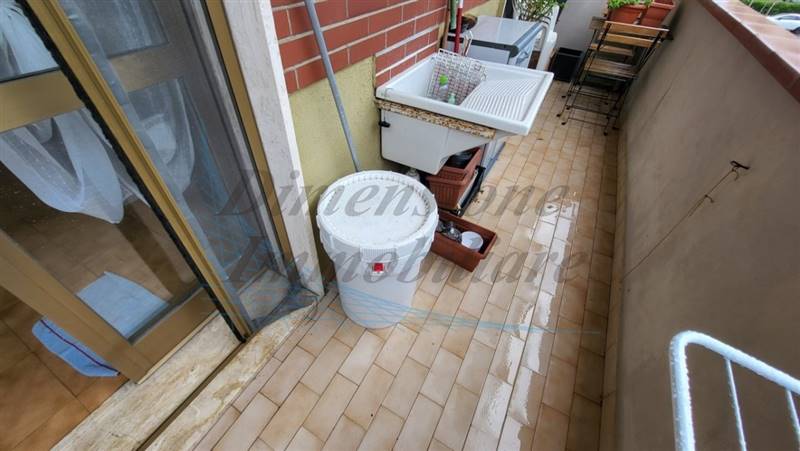 20230828_172005 (FILEminimizer).jpg