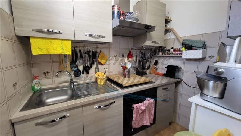 20230828_171638 (FILEminimizer).jpg