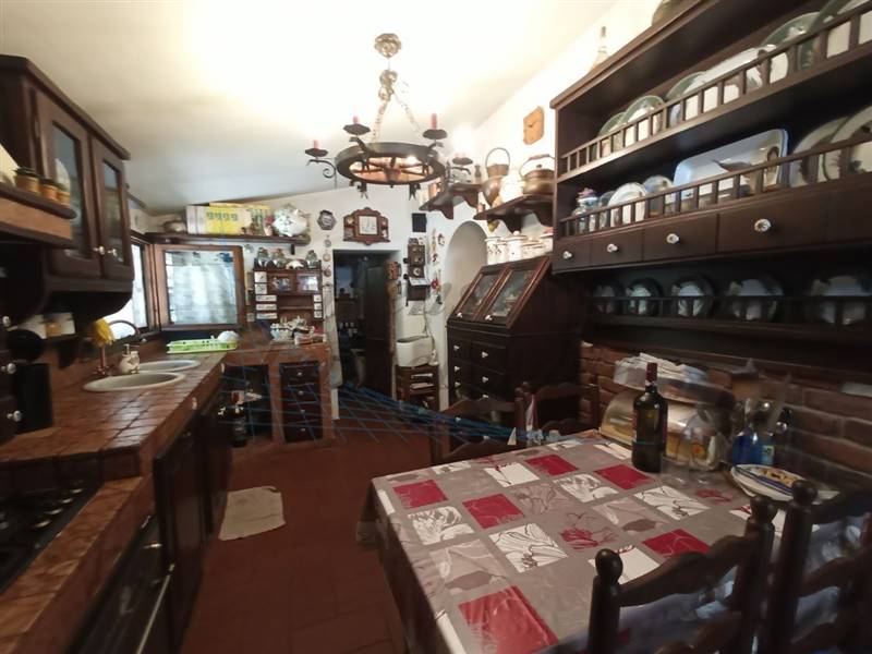 photo1689421161 (6).jpeg