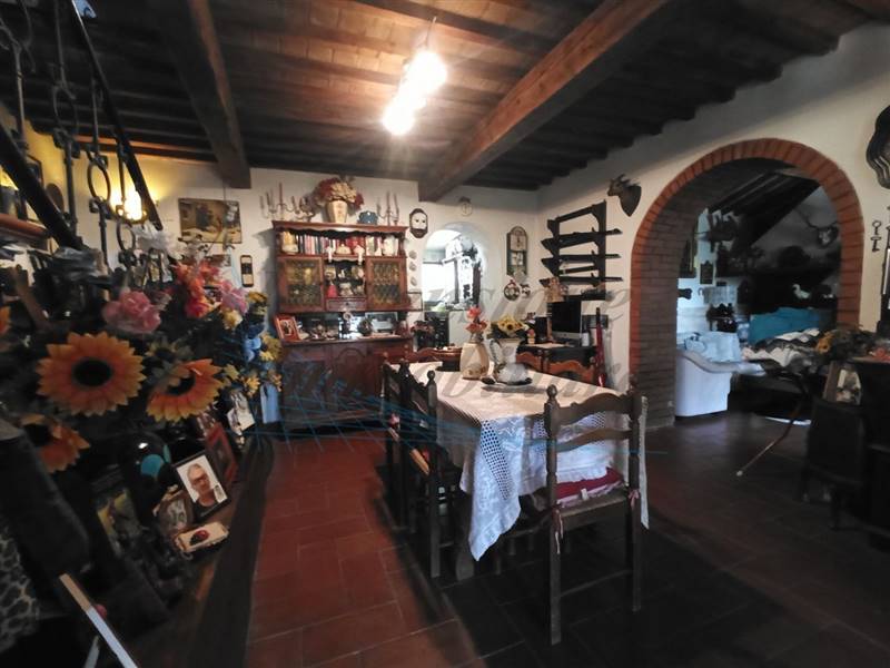 photo1689421171 (5).jpeg