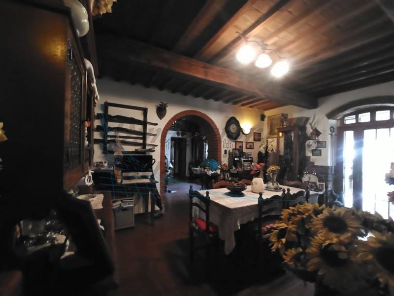 photo1689421171 (4).jpeg