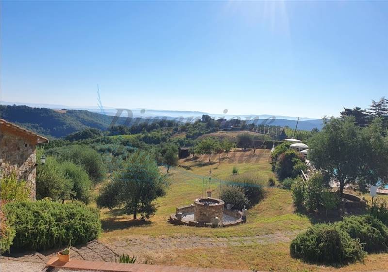 d (FILEminimizer).jpg