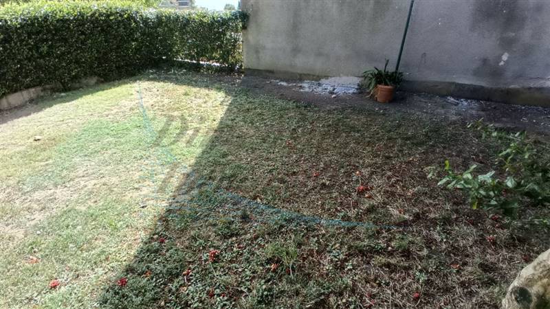 photo1691311835 (1).jpeg