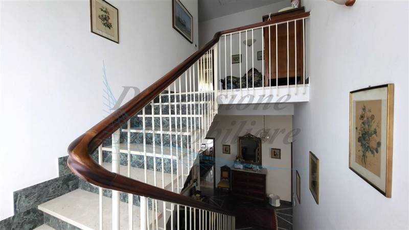 20230502_154633 (FILEminimizer).jpg