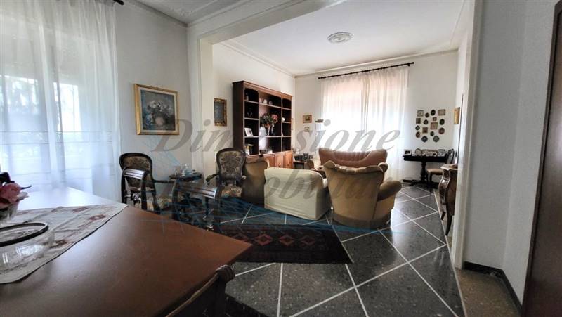 20230502_154349 (FILEminimizer).jpg