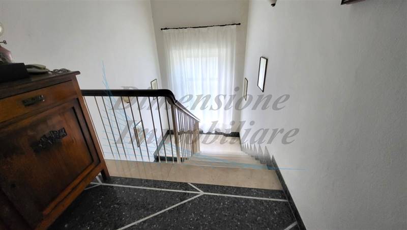 20230502_154658 (FILEminimizer).jpg