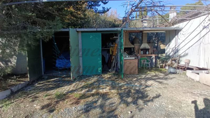 photo1702813298 (1).jpeg