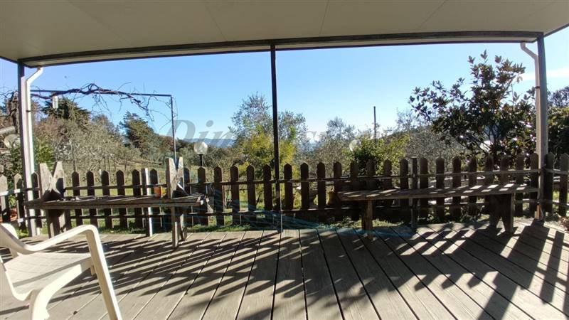 photo1702813215 (4).jpeg