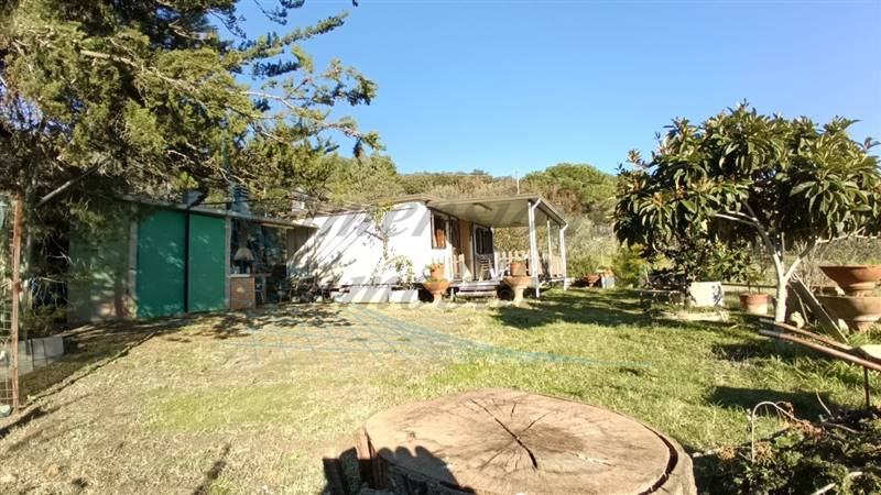 photo1702813200 (2).jpeg