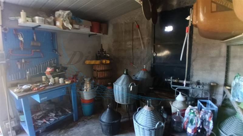 photo1702813298 (2).jpeg