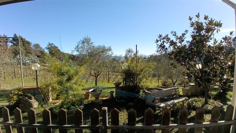 photo1702813215 (3).jpeg