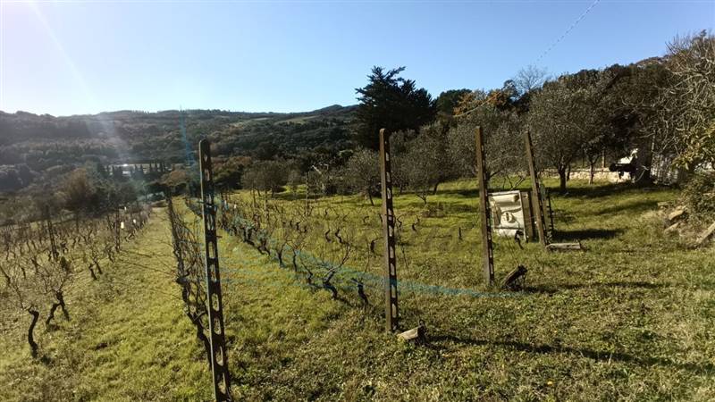 photo1702813321 (5).jpeg