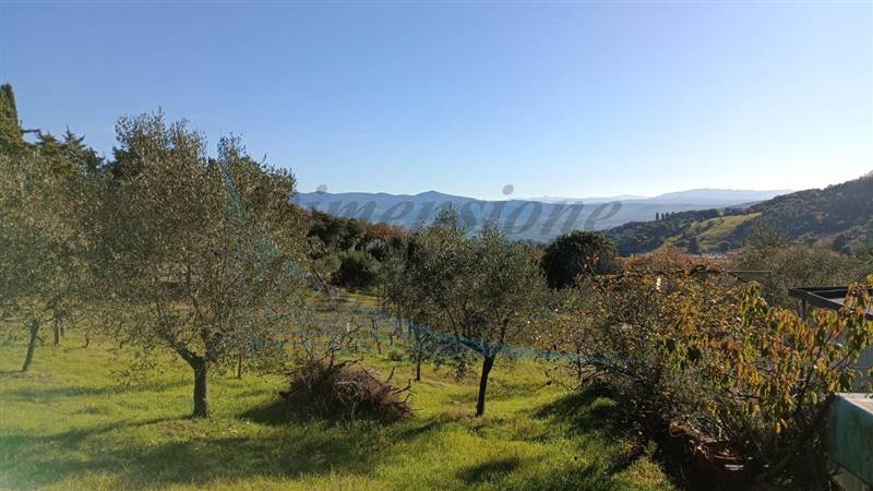 photo1702813390 (2).jpeg