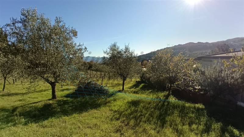 photo1702813321 (2).jpeg