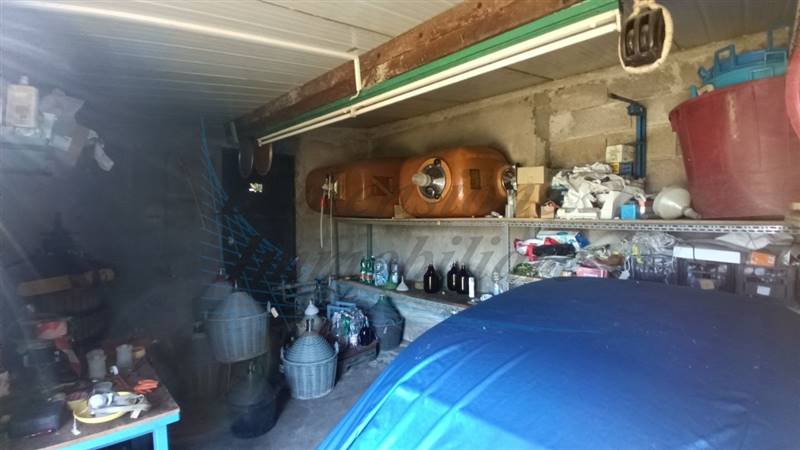 photo1702813298 (3).jpeg